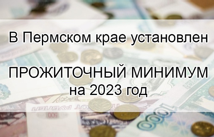 Новый прожиточный минимум на 2023 год